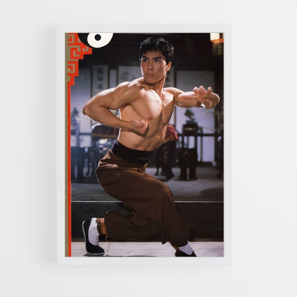Poster Bruce Wong's Kung Fu (vue 3)